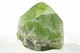 Green Olivine Peridot Crystal - Pakistan #266983-1